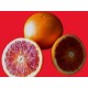 Oranges Rouges Tarocco (au kg)