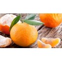 Mandarines ciaculli bio (au kg)