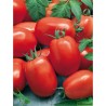 Tomates Roma Bio au KG- Echange Paysans