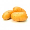 Pommes de terre Auribeau non traitées
