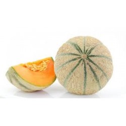 Melon vendus à la pièce AR