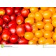Tomates cerises rouges et jaunes -AR  (aux 100g)
