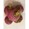 Navet violets BIO de Grasse(au 500g)