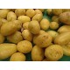 Pommes de terre Agata au Kg