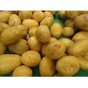 Pommes de terre Agata au Kg