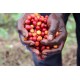 Café grains Congo BIO kg