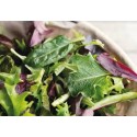 salade  jeunes pousses BIO à l'hectogramme (100g)