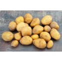 pommes de terre grenaille (au 500g)