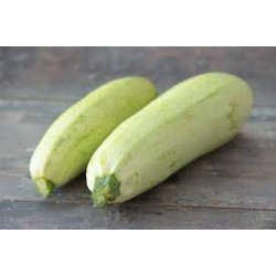 Courgettes blanche paca