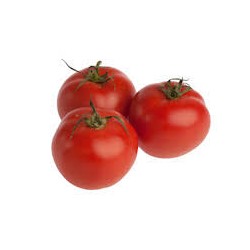 Tomates Rondes plein champs Bio au KG- Echange Paysans