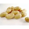 Pommes de terre nouvelles Agata de Grasse (au kg)