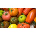 Tomates au kg (varieté suivant disponibilité)