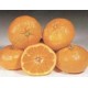Mandarines (au kg) PRE-COMMANDE